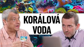 Poklad ze dna oceánu za 700 korun?!