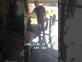 Can I do it still #shortvideo #weightloss #training #shortvideo #weightlifting #shorts #fyp