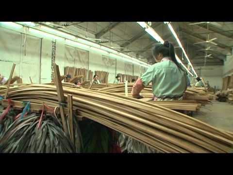 Vidéo: Bambou Commun