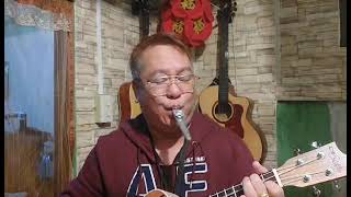 Super Mario Bros Underwater Theme In Ukulele And Kazoo Flute