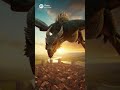#FantasiaEpica#GuerreroLegendario#Dragon#Mago#EpicButFunny#HumorFantasia#MiniPelícula #youtubeshorts