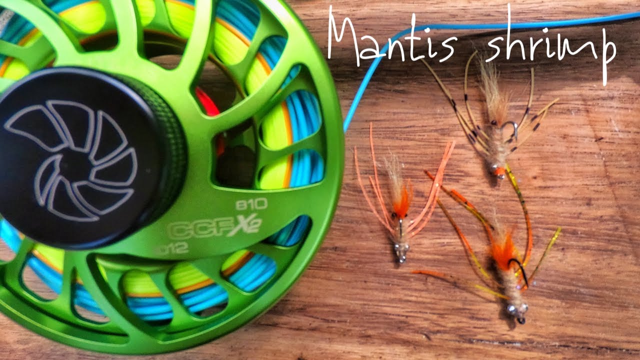 MONTAJE DE MOSCA (3 PATRONES DE CAMARONES MANTIS [AGUA SALADA]