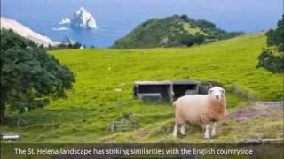 Saint Helena , the beautiful island in atlantic