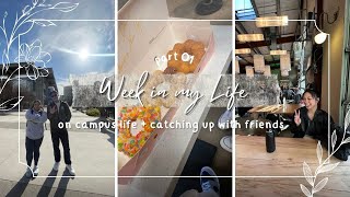 Week in my Life (pt. 1) | sjsu college life + seeing friends