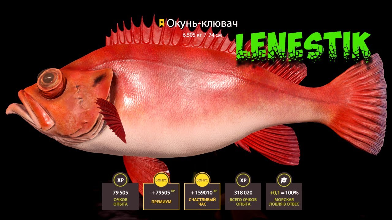 Трофей.Окунь Клювач |Trophy.Beaked Redfish