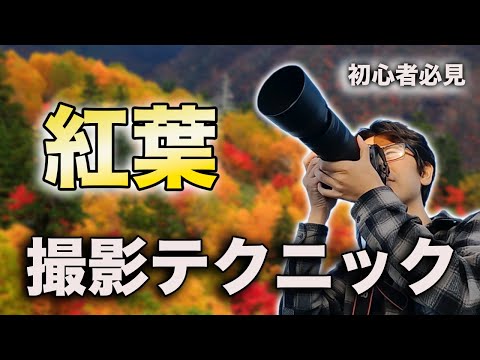紅葉の植木３本　角度を変え撮影しております Super easy! Just one trick to take beautiful autumn foliage photos
