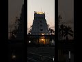 Sri Kalyana Venkateswara Swamy temple , Srinivasa Mangapuram