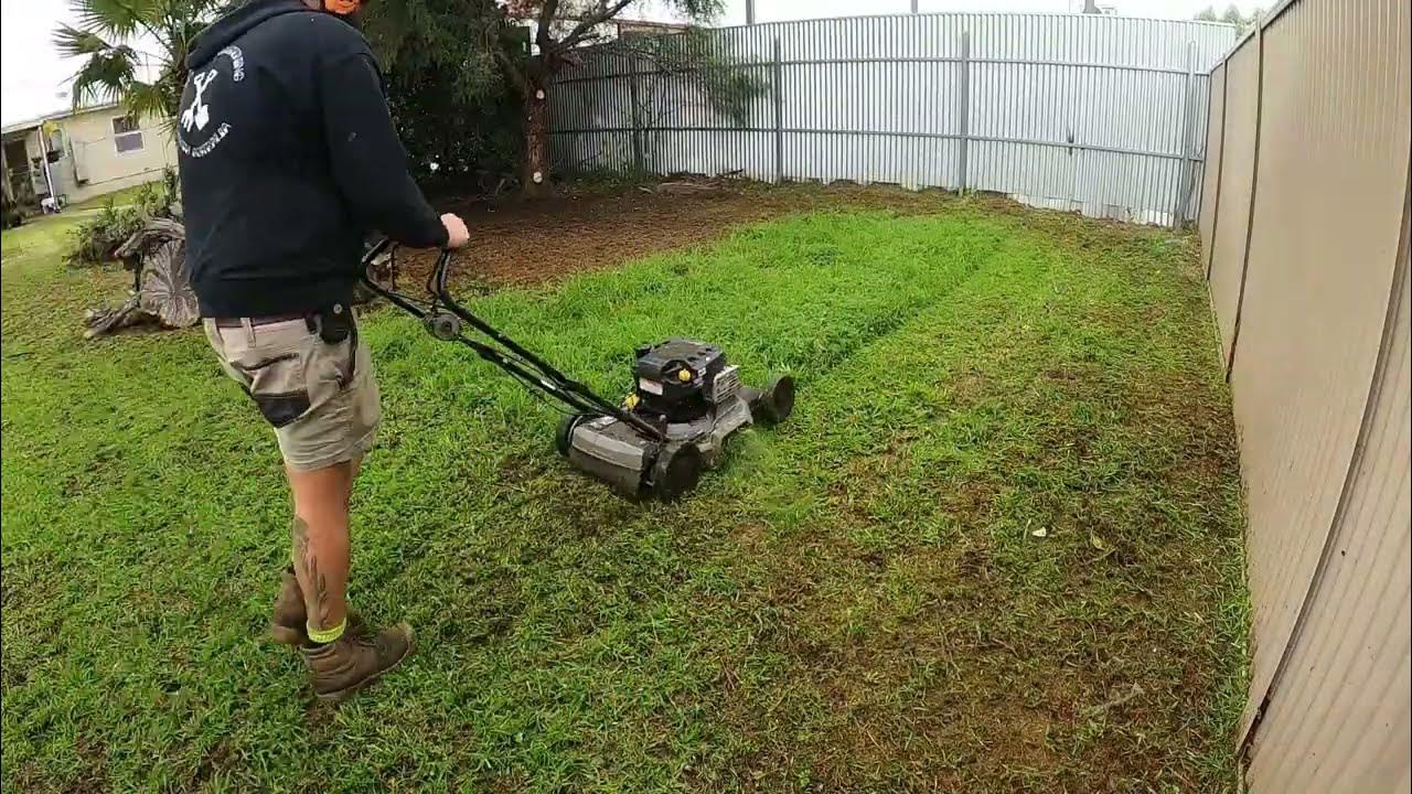 Satisfying lawn mowing side discharge with the mulchy YouTube