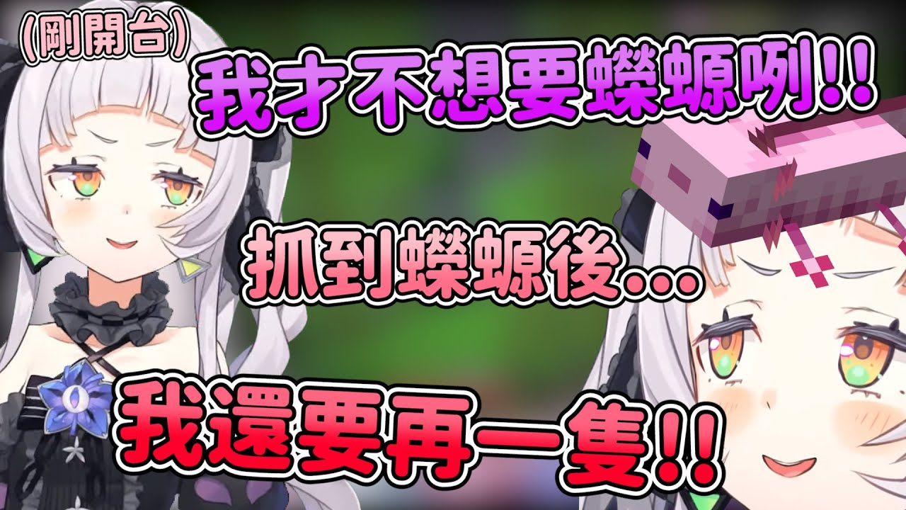 嘴上說著不需要蠑螈 實際看到後卻口是心非 還拿去對後輩炫耀【hololive/紫咲シオン】