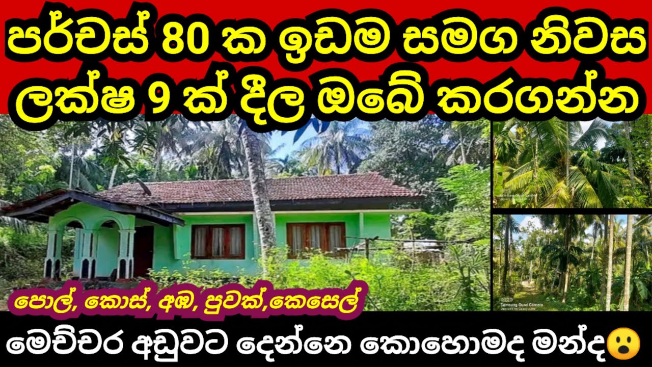 ලක්ෂ 9 ක් ගෙවා ඔබේම කරගන්න නිවසක් සමග පර්චස් 80 ක ඉඩමක් | Pol idam | House for sale | Aduwata idam