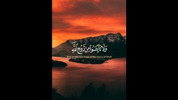 سورة يوسف- قال إنما أشكوا بثي وحزني إلى الله- القارئ خالد الجليل 🍁