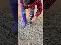 Cranking Manual Ties: Hand‑Operated Baling for Dry Firewood Bundles