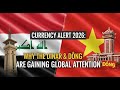 Iraqi Dinar 💰 🌐 Currency Alert 2026: Why the Dinar &amp; Dong Are Gaining Global Attention 💹
