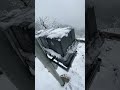 Winter life @Snow@gently Shaking excess snow from trees 🌲🌳🌴
