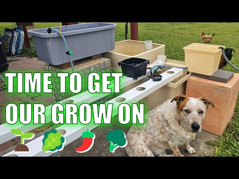 Hydroponics System Build = Hoocho Buckets, NFT, Dutch Buckets & MORE