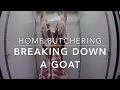 Goat & lamb butchering at home