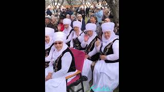 картинка: 4 октября 2025 г.
