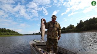 видео: ТАВДА! И НАСТУПИЛО УТРО! ГОЛОДНАЯ ЩУКА! ЯЗЬ! КРУПНЫЙ ОКУНЬ И ОГРОМНАЯ РЫБИНА! РЫБАЛКА НА СПИННИНГ! картинка: ТАВДА! И НАСТУПИЛО УТРО! ГОЛОДНАЯ ЩУКА! ЯЗЬ! КРУПНЫЙ ОКУНЬ И ОГРОМНАЯ РЫБИНА! РЫБАЛКА НА СПИННИНГ!
