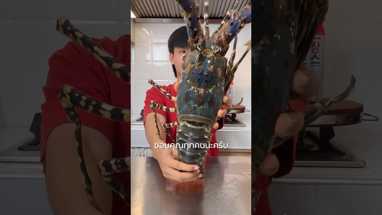 กุ้งมังกร 7 สี 🦞#อร่อยมั้ย #โคเรียดอง #น้ำดองโคเรียดอง