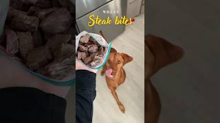 Easy treats for the best vizsla  #shorts #shortsfeed #puppy #puppyvideos #vizsla #dog #doglover