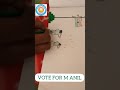 CONTESTANT NO 25 || REPUBLIC DAY CELEBRATION || 2022