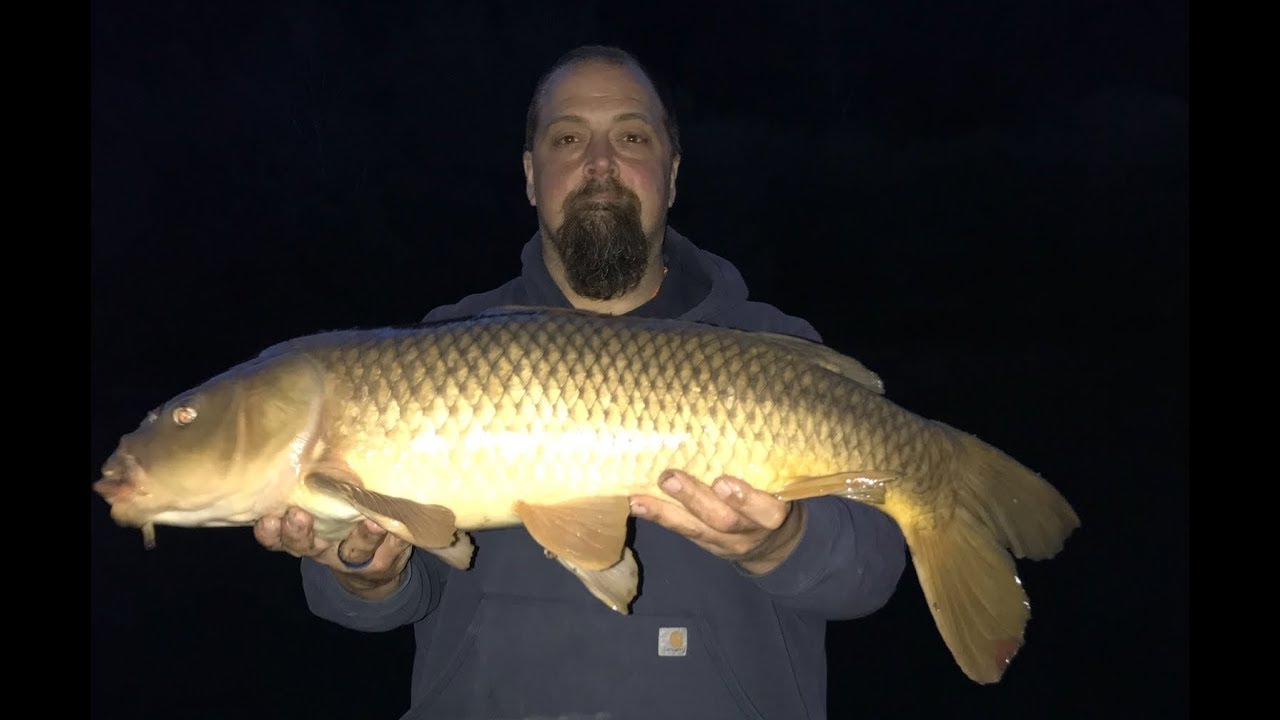Jim's 1st carp of 2019, South Branch of the Potomac River Springfield