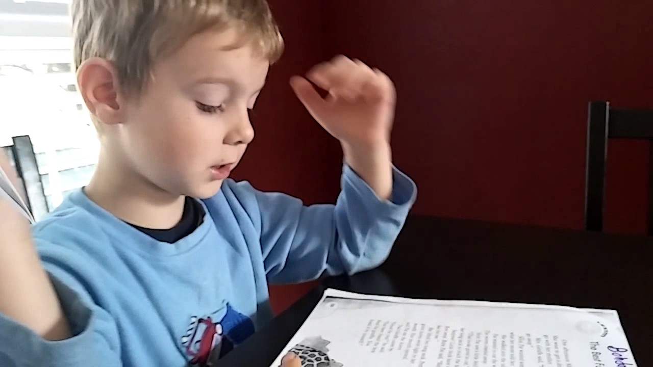 Что делает богдан
