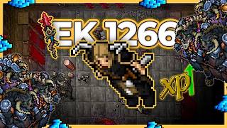 EK 1266 Hunt Solo Bulltaur Lair 10.3kk/h Raw + 3.2kk Profit - Tibia Hunt [15.24]