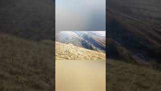 Camping Trip Best New Year Celebration Spots In Uttarakhand