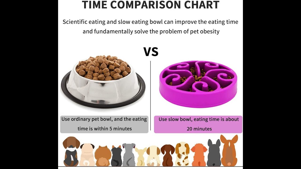 Are slow feeder dog bowls worth it? What problems do they actually ...