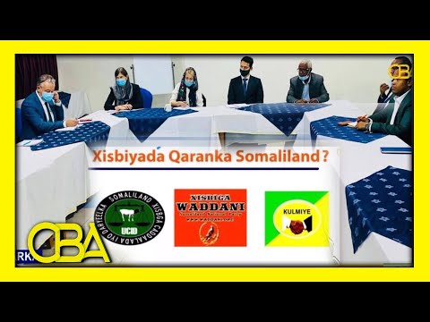 Xisbiyada Somaliland ayaa kulanla qaatay wakiilo ka socda Beesha Caalamka