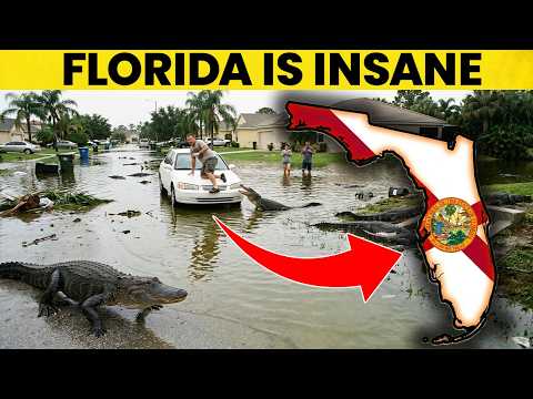 35 Facts About Florida That Will Blow Your Mind