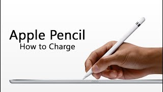 How to Charge the Apple Pencil