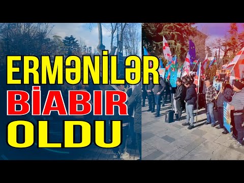 Gürcüstanda azərbaycanlılar etiraza qalxdı - Ermənilər biabır oldu - Media Turk TV