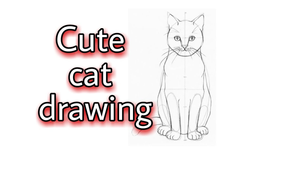 How to draw cute cat 🐈drawing | Step by step cat drawing - YouTube