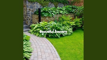 Pulsating Ambience for Thoughtful Vibes