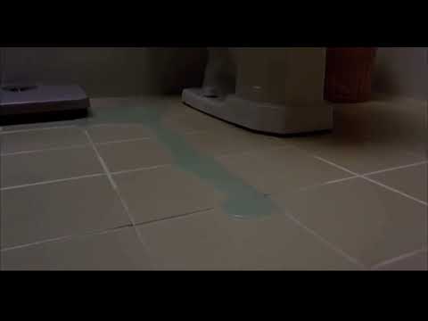 فلم القدر المحتوم