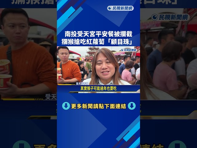 "猴"你偷吃! 松柏嶺受天宮獼猴"大吃特吃"平安餐－民視新聞