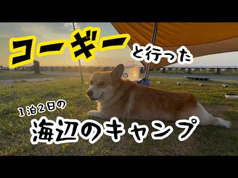 A 2-day, 1-night seaside camping trip with my Corgi✨ Made some