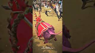 Kabbur Nandi Hori Habba