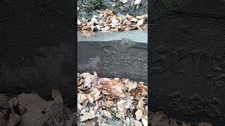 Miechowice. Różana ława.