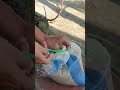 Idea for you of tying bag knot at home/ rope knot #quickrelease #knots #lifeskills #tips