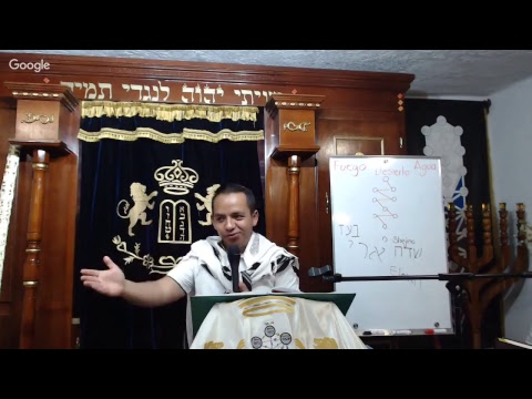 Tikun Shavuot. hangouts on air alternative