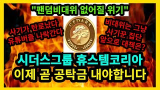 [속보] 시더스그룹 휴스템코리아 비대위 없어질 위기