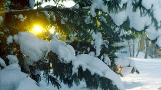 Winter Solstice 2021 First Day of Winter Tuesday Shortest Day of Year in