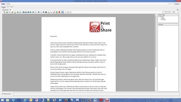 Ricoh Print&Share - overlays