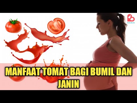 Video: Sekiranya Wanita Hamil Makan Tomato?