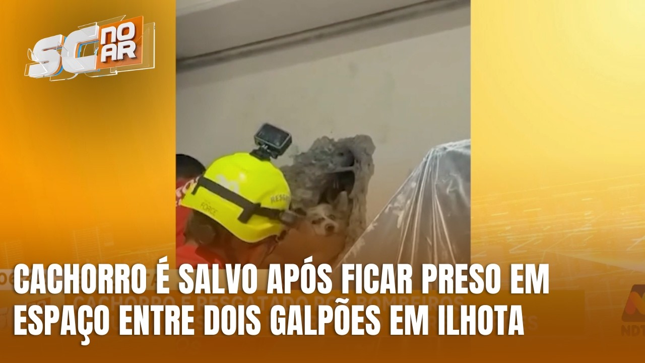 Cachorro é resgatado por bombeiros após ficar preso entre galpões em Ilhota