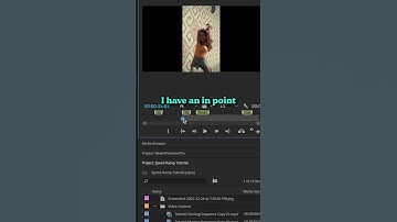 2 WAYS to OVERRIDE LINKED SELECTION in Premiere Pro: The Secret