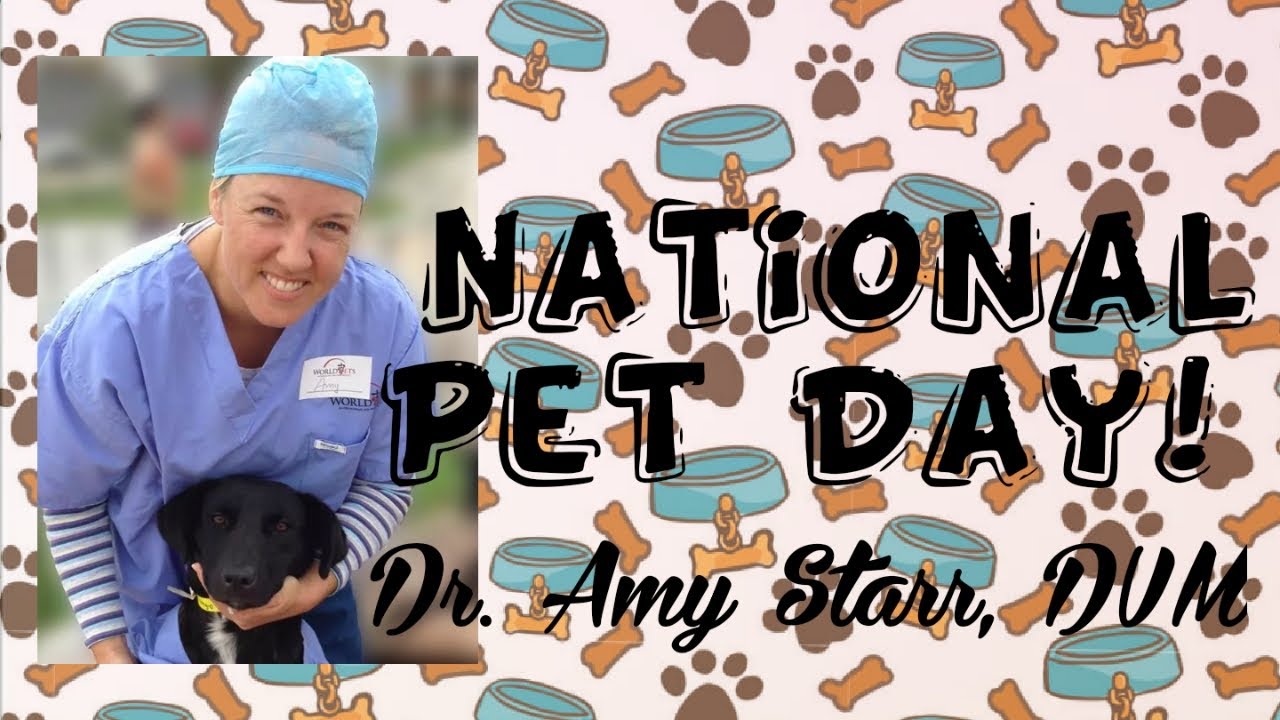 National Pet Day!!